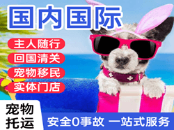 奇台江航空运输国际宠物托运 【国